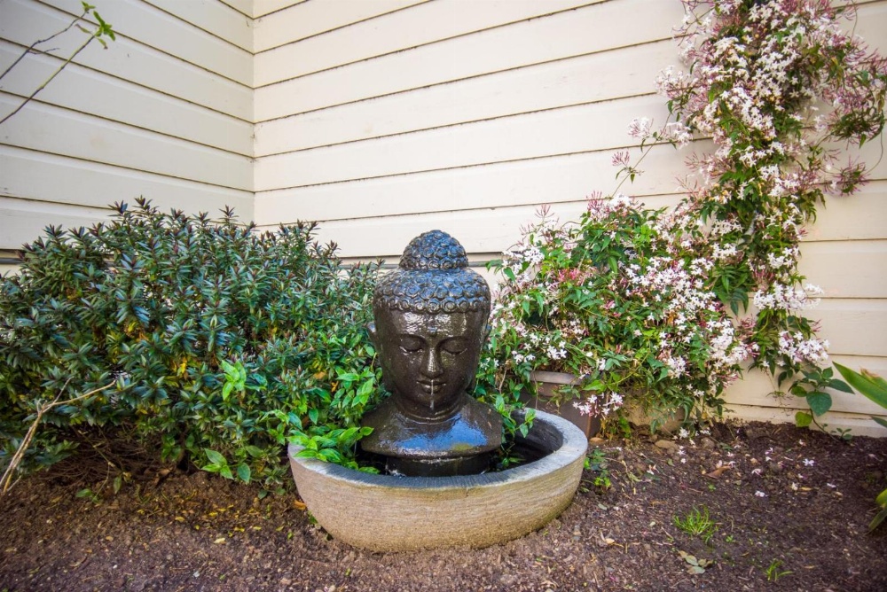 Buena Vista Motor Inn Main image